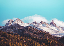 体育娱乐-重罚！73人终身禁足，13支俱乐部危了